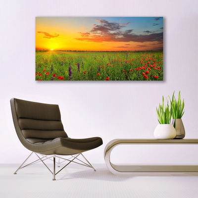 Foto till canvastavla Sun Meadow Blommor Natur