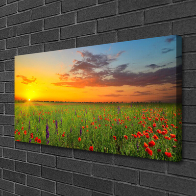 Foto till canvastavla Sun Meadow Blommor Natur