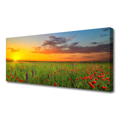 Foto till canvastavla Sun Meadow Blommor Natur