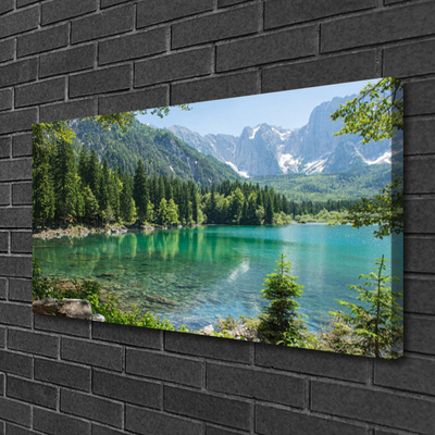 Fototryck canvas Berg Lake Forest Nature