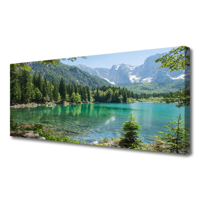 Fototryck canvas Berg Lake Forest Nature