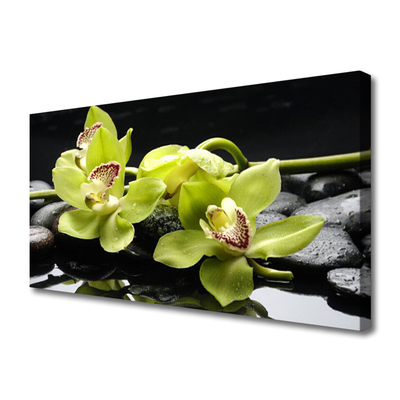 Fototryck canvas Blomma orkidéväxt