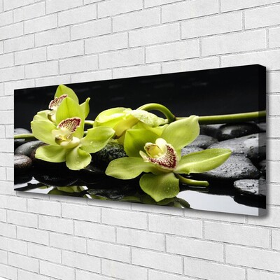 Fototryck canvas Blomma orkidéväxt