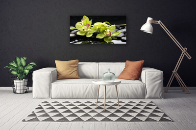 Fototryck canvas Blomma orkidéväxt