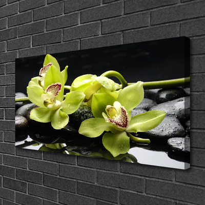 Fototryck canvas Blomma orkidéväxt