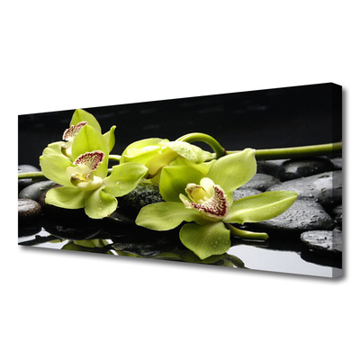 Fototryck canvas Blomma orkidéväxt