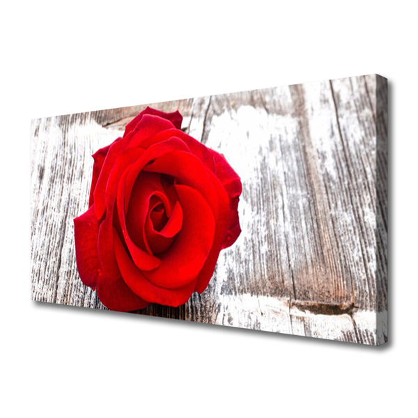 Fototryck canvas Rose Flower Plant Nature