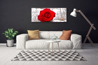 Fototryck canvas Rose Flower Plant Nature