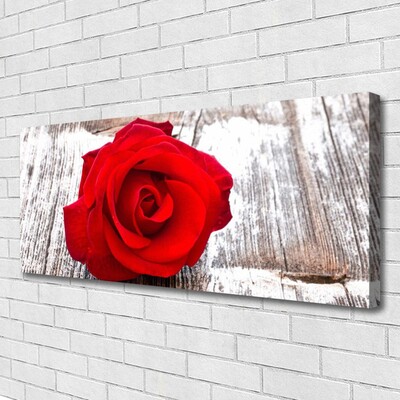 Fototryck canvas Rose Flower Plant Nature