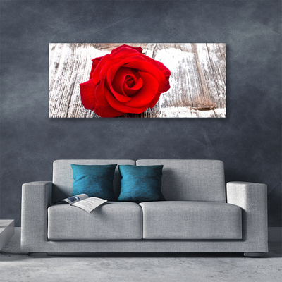 Fototryck canvas Rose Flower Plant Nature