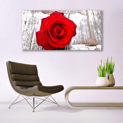 Fototryck canvas Rose Flower Plant Nature