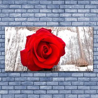 Fototryck canvas Rose Flower Plant Nature