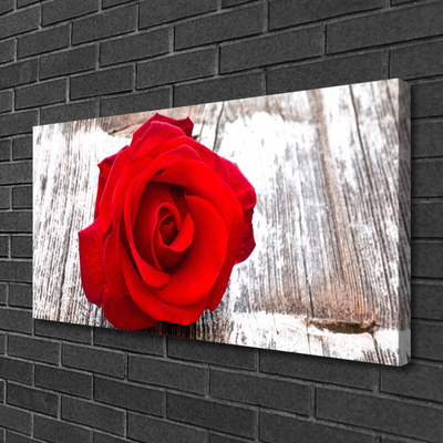 Fototryck canvas Rose Flower Plant Nature