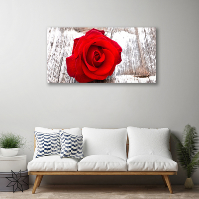 Fototryck canvas Rose Flower Plant Nature