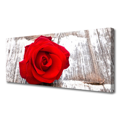 Fototryck canvas Rose Flower Plant Nature