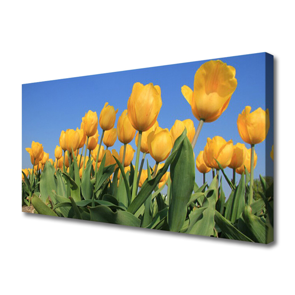 Bild canvas Tulpaner Blommor Plant