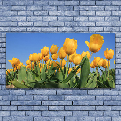 Bild canvas Tulpaner Blommor Plant