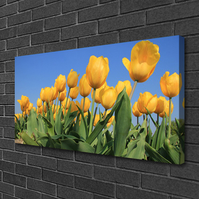 Bild canvas Tulpaner Blommor Plant