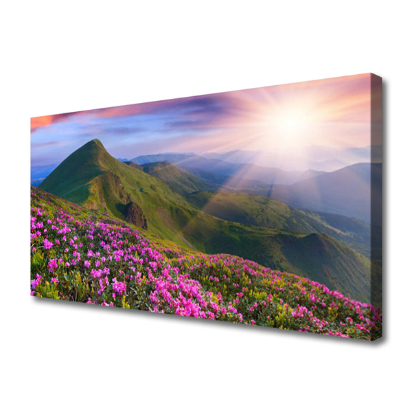 Canvas bild Berg äng blommor landskap