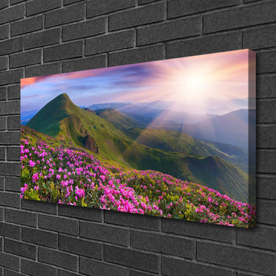 Canvas bild Berg äng blommor landskap