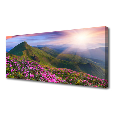 Canvas bild Berg äng blommor landskap