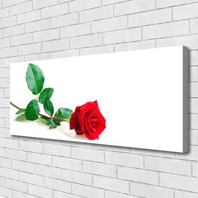 Fototryck canvas Rose Flower Plant Nature