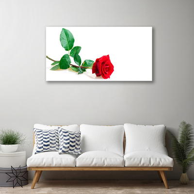 Fototryck canvas Rose Flower Plant Nature