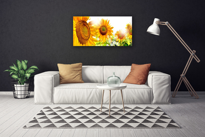 Bild på canvas Solros blomma växt