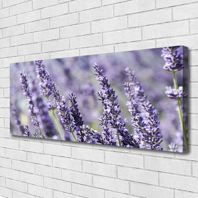 Bild canvas Blommor Växtnatur