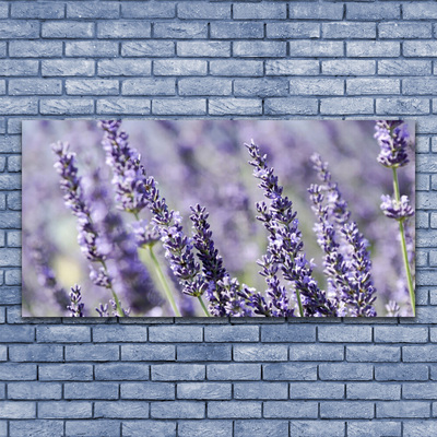 Bild canvas Blommor Växtnatur