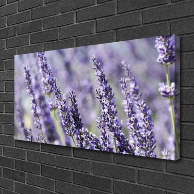 Bild canvas Blommor Växtnatur