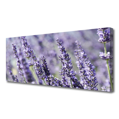 Bild canvas Blommor Växtnatur