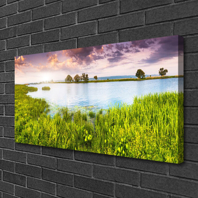 Bild på canvas Grass Lake Nature