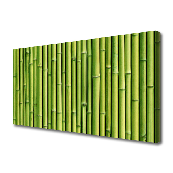 Canvas bild Bambu Plant Nature