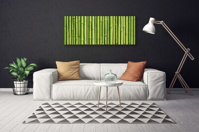 Canvas bild Bambu Plant Nature