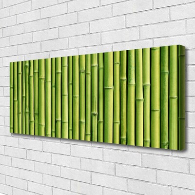 Canvas bild Bambu Plant Nature