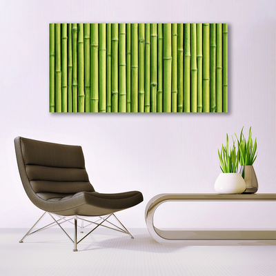 Canvas bild Bambu Plant Nature