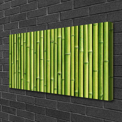 Canvas bild Bambu Plant Nature