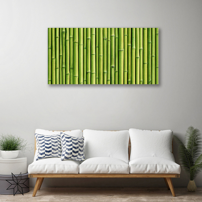 Canvas bild Bambu Plant Nature