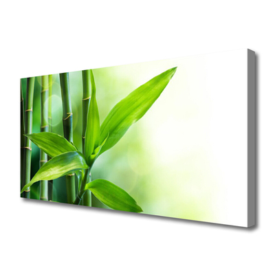 Bild canvas Bambu bladväxt natur