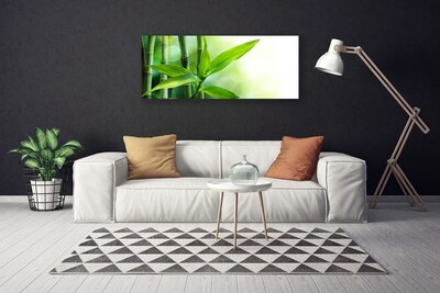 Bild canvas Bambu bladväxt natur