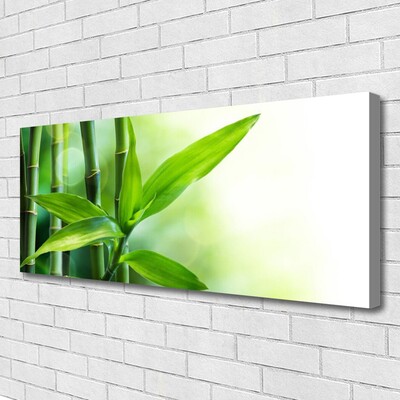 Bild canvas Bambu bladväxt natur