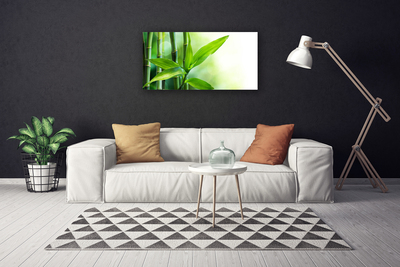 Bild canvas Bambu bladväxt natur