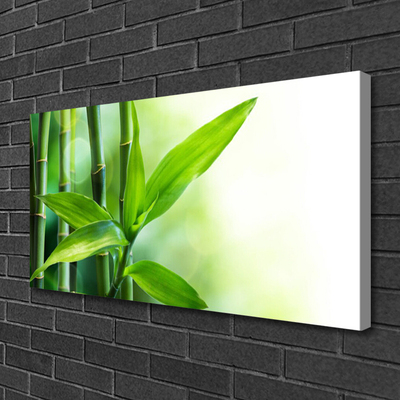 Bild canvas Bambu bladväxt natur