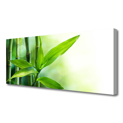 Bild canvas Bambu bladväxt natur