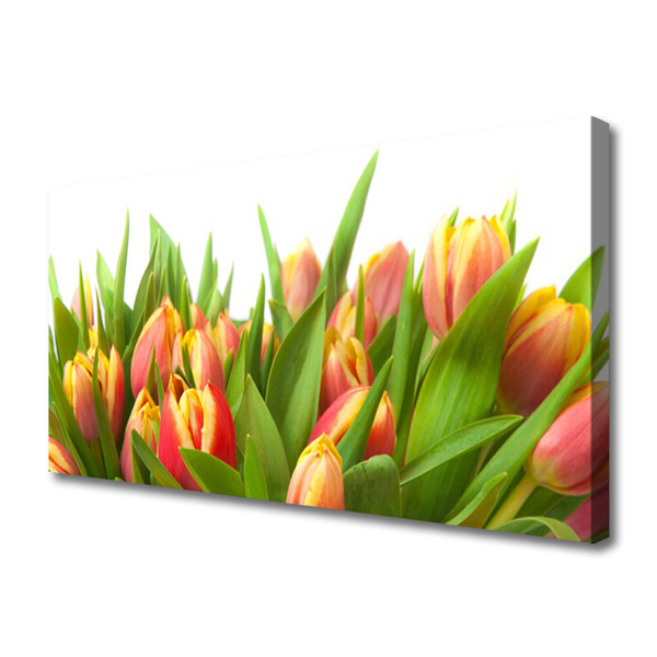 Bild canvas Tulpaner Blommor Plant