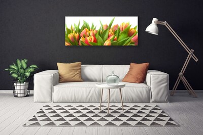 Bild canvas Tulpaner Blommor Plant