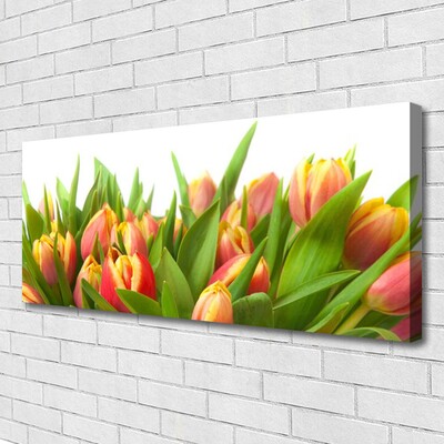 Bild canvas Tulpaner Blommor Plant