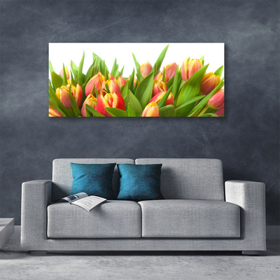 Bild canvas Tulpaner Blommor Plant