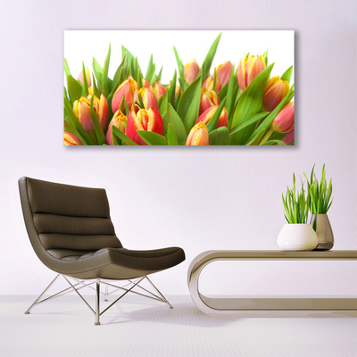 Bild canvas Tulpaner Blommor Plant